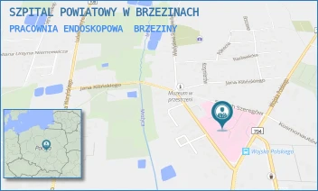 PRACOWNIA ENDOSKOPOWA - SZPITAL POWIATOWY W BRZEZINACH - UL. MARII SKŁODOWSKIEJ-CURIE 6,  BRZEZINY