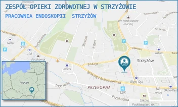 PRACOWNIA ENDOSKOPII - ZESPÓŁ OPIEKI ZDROWOTNEJ W STRZYŻOWIE - UL. 700-LECIA STRZYŻOWA 1,  STRZYŻÓW