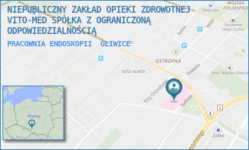 PRACOWNIA ENDOSKOPII - NIEPUBLICZNY ZAKŁAD OPIEKI ZDROWOTNEJ VITO-MED SPÓŁKA Z OGRANICZONĄ ODPOWIEDZIALNOŚCIĄ - UL. RADIOWA 2,  GLIWICE