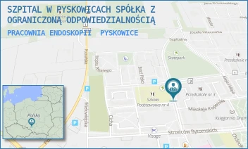 PRACOWNIA ENDOSKOPII - SZPITAL W PYSKOWICACH SPÓŁKA Z OGRANICZONĄ ODPOWIEDZIALNOŚCIĄ - UL. SZPITALNA 2,  PYSKOWICE