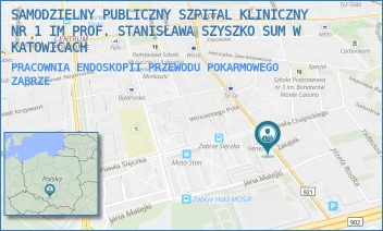 PRACOWNIA ENDOSKOPII PRZEWODU POKARMOWEGO - SAMODZIELNY PUBLICZNY SZPITAL KLINICZNY NR 1 IM PROF. STANISŁAWA SZYSZKO SUM W KATOWICACH - UL. 3 MAJA 13-15,  ZABRZE