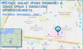 PRACOWNIA ENDOSKOPII - MIEJSKIE ZAKŁADY OPIEKI ZDROWOTNEJ W ŻORACH SPÓŁKA Z OGRANICZONĄ ODPOWIEDZIALNOŚCIĄ - UL. DĄBROWSKIEGO 20,  ŻORY