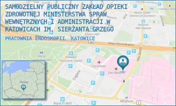 PRACOWNIA ENDOSKOPII - SAMODZIELNY PUBLICZNY ZAKŁAD OPIEKI ZDROWOTNEJ MINISTERSTWA SPRAW WEWNĘTRZNYCH I ADMINISTRACJI W KATOWICACH IM. SIERŻANTA GRZEGO - UL. WITA STWOSZA 39-41,  KATOWICE