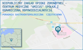 PORADNIA GASTROENTEROLOGICZNA - NIEPUBLICZNY ZAKŁAD OPIEKI ZDROWOTNEJ - CENTRUM MEDYCZNE "AMICUS" SPÓŁKA Z OGRANICZONĄ ODPOWIEDZIALNOŚCIĄ - ALEJA POKOJU 44,  CZĘSTOCHOWA