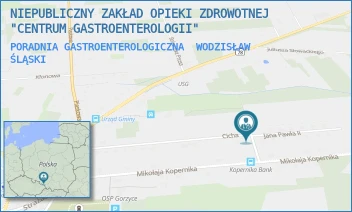 PORADNIA GASTROENTEROLOGICZNA - NIEPUBLICZNY ZAKŁAD OPIEKI ZDROWOTNEJ "CENTRUM GASTROENTEROLOGII" - UL. JANA PAWŁA II 6,8,  WODZISŁAW ŚLĄSKI