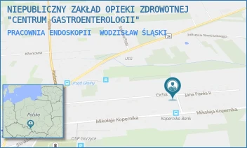 PRACOWNIA ENDOSKOPII - NIEPUBLICZNY ZAKŁAD OPIEKI ZDROWOTNEJ "CENTRUM GASTROENTEROLOGII" - UL. JANA PAWŁA II 6,8,  WODZISŁAW ŚLĄSKI
